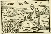 Picture 107 of 145 from Aesopi Phrigis Et Aliorvm Fabvlae. : Elegantissimis Iconibus illustratæ, & diligentius quàm antehac emendatæ (1554), leaf 245