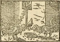 Picture 110 of 145 from Aesopi Phrigis Et Aliorvm Fabvlae. : Elegantissimis Iconibus illustratæ, & diligentius quàm antehac emendatæ (1554), leaf 248