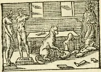 Picture 111 of 145 from Aesopi Phrigis Et Aliorvm Fabvlae. : Elegantissimis Iconibus illustratæ, & diligentius quàm antehac emendatæ (1554), leaf 249