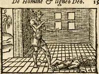 Picture 112 of 145 from Aesopi Phrigis Et Aliorvm Fabvlae. : Elegantissimis Iconibus illustratæ, & diligentius quàm antehac emendatæ (1554), leaf 250