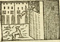 Picture 113 of 145 from Aesopi Phrigis Et Aliorvm Fabvlae. : Elegantissimis Iconibus illustratæ, & diligentius quàm antehac emendatæ (1554), leaf 251