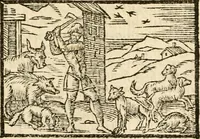 Picture 117 of 145 from Aesopi Phrigis Et Aliorvm Fabvlae. : Elegantissimis Iconibus illustratæ, & diligentius quàm antehac emendatæ (1554), leaf 260