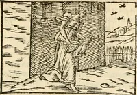 Picture 118 of 145 from Aesopi Phrigis Et Aliorvm Fabvlae. : Elegantissimis Iconibus illustratæ, & diligentius quàm antehac emendatæ (1554), leaf 262