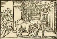 Picture 121 of 145 from Aesopi Phrigis Et Aliorvm Fabvlae. : Elegantissimis Iconibus illustratæ, & diligentius quàm antehac emendatæ (1554), leaf 266