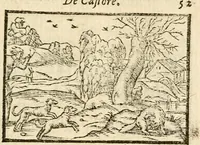 Picture 127 of 145 from Aesopi Phrigis Et Aliorvm Fabvlae. : Elegantissimis Iconibus illustratæ, & diligentius quàm antehac emendatæ (1554), leaf 276