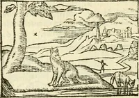 Picture 130 of 145 from Aesopi Phrigis Et Aliorvm Fabvlae. : Elegantissimis Iconibus illustratæ, & diligentius quàm antehac emendatæ (1554), leaf 285