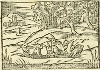 An illustration from Aesopi Phrigis Et Aliorvm Fabvlae. : Elegantissimis Iconibus illustratæ, & diligentius quàm antehac emendatæ (1554)