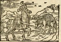 Picture 134 of 145 from Aesopi Phrigis Et Aliorvm Fabvlae. : Elegantissimis Iconibus illustratæ, & diligentius quàm antehac emendatæ (1554), leaf 294