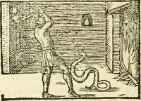 Picture 136 of 145 from Aesopi Phrigis Et Aliorvm Fabvlae. : Elegantissimis Iconibus illustratæ, & diligentius quàm antehac emendatæ (1554), leaf 297