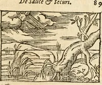 Picture 138 of 145 from Aesopi Phrigis Et Aliorvm Fabvlae. : Elegantissimis Iconibus illustratæ, & diligentius quàm antehac emendatæ (1554), leaf 302