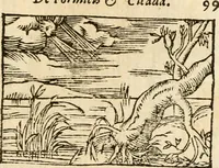 Picture 140 of 145 from Aesopi Phrigis Et Aliorvm Fabvlae. : Elegantissimis Iconibus illustratæ, & diligentius quàm antehac emendatæ (1554), leaf 308