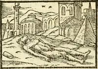 Picture 143 of 145 from Aesopi Phrigis Et Aliorvm Fabvlae. : Elegantissimis Iconibus illustratæ, & diligentius quàm antehac emendatæ (1554), leaf 319