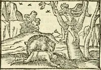 Picture 10 of 145 from Aesopi Phrigis Et Aliorvm Fabvlae. : Elegantissimis Iconibus illustratæ, & diligentius quàm antehac emendatæ (1554), leaf 69