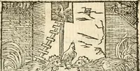 Picture 15 of 145 from Aesopi Phrigis Et Aliorvm Fabvlae. : Elegantissimis Iconibus illustratæ, & diligentius quàm antehac emendatæ (1554), leaf 76