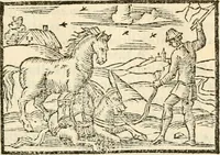 Picture 17 of 145 from Aesopi Phrigis Et Aliorvm Fabvlae. : Elegantissimis Iconibus illustratæ, & diligentius quàm antehac emendatæ (1554), leaf 80