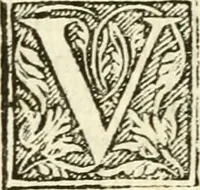 Picture 18 of 145 from Aesopi Phrigis Et Aliorvm Fabvlae. : Elegantissimis Iconibus illustratæ, & diligentius quàm antehac emendatæ (1554), leaf 89