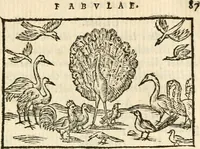 Picture 19 of 145 from Aesopi Phrigis Et Aliorvm Fabvlae. : Elegantissimis Iconibus illustratæ, & diligentius quàm antehac emendatæ (1554), leaf 92