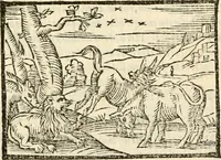 Picture 20 of 145 from Aesopi Phrigis Et Aliorvm Fabvlae. : Elegantissimis Iconibus illustratæ, & diligentius quàm antehac emendatæ (1554), leaf 96