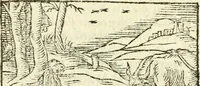 Picture 21 of 145 from Aesopi Phrigis Et Aliorvm Fabvlae. : Elegantissimis Iconibus illustratæ, & diligentius quàm antehac emendatæ (1554), leaf 99
