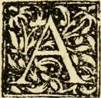 Picture 17 of 21 from Aesopi Phrygis Fabellae Graece et Latine : cum alijs opusculis, quorum index proxima refertur pagella (1534), leaf 267