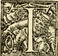 An illustration from Aesopi Phrygis Fabellae Graece et Latine : cum alijs opusculis, quorum index proxima refertur pagella (1534)