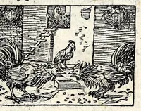 An illustration from Aesopi Phrygis Fabvlae : elegantissimis eiconibus ueras animalium species ad uiuum adumbrantes. Gabriae Graeci Fabellae XXXXIIII. Batrachomyomáchia Homeri, hoc est, Ranarum & murium pugna. Galeōmyomachía, hoc est, Felium & murium pugna, tragoedia graeca : haec omnia cum Latina interpretatione (1551)