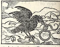 Picture 12 of 18 from Aesopi Phrygis Fabvlae : elegantissimis eiconibus ueras animalium species ad uiuum adumbrantes. Gabriae Graeci Fabellae XXXXIIII. Batrachomyomáchia Homeri, hoc est, Ranarum & murium pugna. Galeōmyomachía, hoc est, Felium & murium pugna, tragoedia graeca : haec omnia cum Latina interpretatione (1551), leaf 240