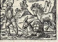 An illustration from Aesopi Phrygis Fabvlae : elegantissimis eiconibus ueras animalium species ad uiuum adumbrantes. Gabriae Graeci Fabellae XXXXIIII. Batrachomyomáchia Homeri, hoc est, Ranarum & murium pugna. Galeōmyomachía, hoc est, Felium & murium pugna, tragoedia graeca : haec omnia cum Latina interpretatione (1551)