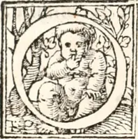 Picture 5 of 7 from Aesopi Phrygis Fabulae græce et latinè : cum alijs opusculis, quorum index proxima refertur pagella (1544), leaf 261