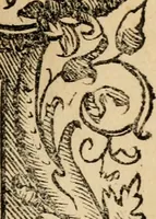 Picture 15 of 23 from Aesopi Phrygis vita et fabellae : cum latina interpretatione. Gabriae Graeci fabellae tres & quadraginta ex trimetris iambis, praeter ultima ex Scazonte, tetrastichis conclusae : cum latina interpretatione. Ex Aphthonii exercitametis de fabula : tum de formicis & cicadis graece & latine. De fabula ex imaginibus Philostrati graece & latine. Ex Hermogensis exercitametis de fabula Prisciano interprete. [Homeri batrachomyomachia, hoc est, Ranarum & murium pugna : Graece & Latine. De Ero & Leandro : Graece & Latine (1518), leaf 332