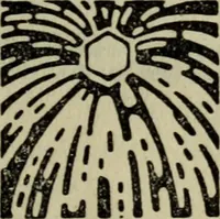 Picture 2 of 15 from Aesthetik des Lichts (1908), leaf 8