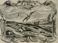 Picture 108 of 115 from Af-Beeldinghe van d'eerste eeuwe der Societeyt Iesu voor ooghen ghestelt door de Duyts-Nederlantsche prouincie der seluer Societeyt (1640), leaf 699