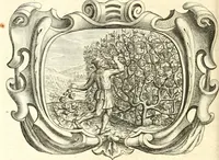 Picture 39 of 117 from Af-beeldinghe van d'eerste eeuwe der Societeyt Iesu : voor ooghen ghestelt door de Duyts-Nederlantsche provincie der selver societeyt (1640), leaf 153