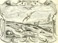Picture 110 of 117 from Af-beeldinghe van d'eerste eeuwe der Societeyt Iesu : voor ooghen ghestelt door de Duyts-Nederlantsche provincie der selver societeyt (1640), leaf 699