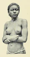 An illustration from Africaines (1897)