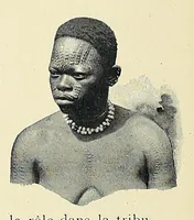 An illustration from Africaines (1897)