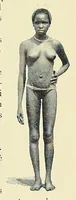 An illustration from Africaines (1897)