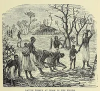 An illustration from Africa and its exploration : as told by its explorers Mungo Park, Clapperton, the Landers, Livingstone, Barth, Barkie, Denham, Burton, Speke, Caillie, Schweinfurth, Mohr, Stanley, Holub, Serpa, Pinto, Farini, Thomson, Montagu Kerr ; with 600 illustrations and maps