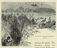 An illustration from Africa and its exploration : as told by its explorers Mungo Park, Clapperton, the Landers, Livingstone, Barth, Barkie, Denham, Burton, Speke, Caillie, Schweinfurth, Mohr, Stanley, Holub, Serpa, Pinto, Farini, Thomson, Montagu Kerr ; with 600 illustrations and maps