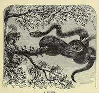 An illustration from Africa and its exploration : as told by its explorers Mungo Park, Clapperton, the Landers, Livingstone, Barth, Barkie, Denham, Burton, Speke, Caillie, Schweinfurth, Mohr, Stanley, Holub, Serpa, Pinto, Farini, Thomson, Montagu Kerr ; with 600 illustrations and maps