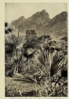 An illustration from African camp fires (1914)