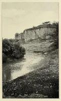 An illustration from African game trails : an account of the African wanderings of an American hunter-naturalist (1909)