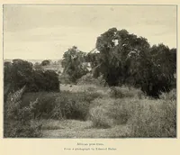 Picture 10 of 17 from African game trails : an account of the African wanderings of an American hunter-naturalist (1909), leaf 182