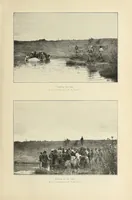 An illustration from African game trails : an account of the African wanderings of an American hunter-naturalist (1909)