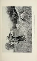 An illustration from African game trails : an account of the African wanderings of an American hunter-naturalist (1910)