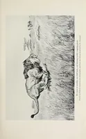 An illustration from African game trails : an account of the African wanderings of an American hunter-naturalist (1910)