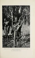 An illustration from African game trails : an account of the African wanderings of an American hunter-naturalist (1910)