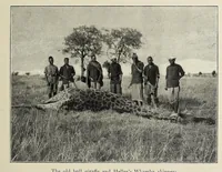 An illustration from African game trails (1909)