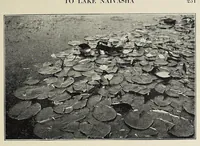 Picture 10 of 13 from African game trails (1909), leaf 69