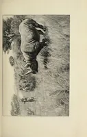 An illustration from African game trails : an account of the African wanderings of an American hunter-naturalist (1910)